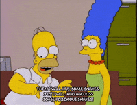 homer simpson GIF