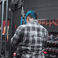 Celebrate Back Day GIF by The One Up Lifestyle