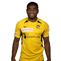 Ivory Coast Switzerland Sticker by BSC Young Boys