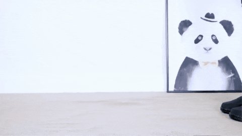 LibertyOS giphygifmaker GIF