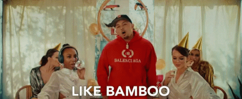 p_lo giphyupload bamboo bay area plo GIF