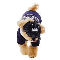 1993 Sticker by PETHROOM