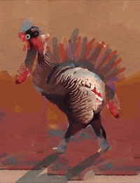 Bird Thanksgiving GIF by Luis Ricardo
