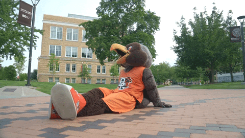 Bowling Green Yes GIF by Bowling Green State University