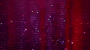 Bellas De Noche Mexico GIF