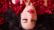 bellas de noche mexico GIF
