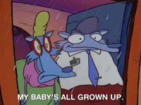 rockos modern life nicksplat GIF