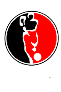 Kkd Helmond Sticker by Voetbalzone
