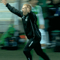 HibernianOfficial football celebration airplane rangers GIF
