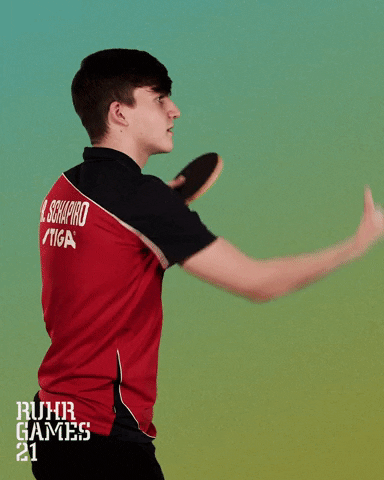 Talentteamruhr Tischtennis GIF by Ruhr Games