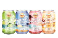 summer alcohol Sticker by Wreck Beach Spirits