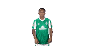 Bundesliga Felix Sticker by SV Werder Bremen