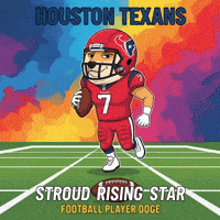 Houston Texans Running GIF by Doge Pound