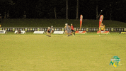 Tfa GIF by Touch Football Australia