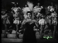 italian doctor beware GIF by Film Society of Lincoln Center