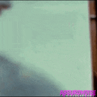 dawn of the dead horror GIF by absurdnoise