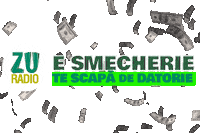 Smecherie Sticker by Radio ZU