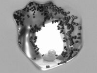 Brine Pool GIF