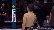 Mixed Martial Arts Sport GIF by UFC