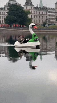 gomorgenradio andreas svane gomorgenp3 GIF