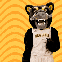 Tea Pounce GIF by UW-Milwaukee