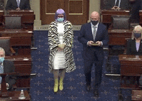 Kyrsten Sinema GIF by GIPHY News