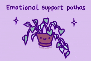 Plant Support GIF