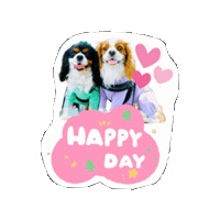Cavalierkingcharlesspaniel Sticker