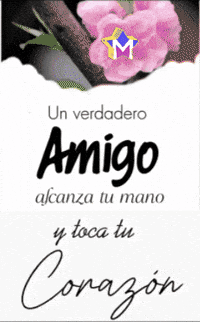 Rosa Alcanza GIF by Murcianys LLC