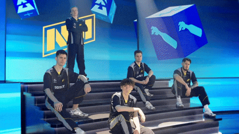 Team Esports GIF by BLAST