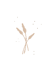 Earth Wheat Sticker
