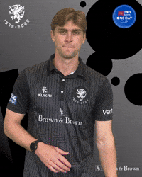 Ball Bb GIF by Somerset County Cricket Club