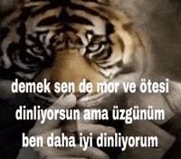 Loaxar  GIF