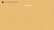 cocina GIF by boxangelica