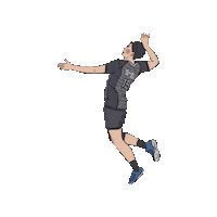 chengchengzz 排球 台電 台電男排 Sticker