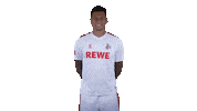 1 Fc Cologne Thumbs Down Sticker by 1. FC Köln