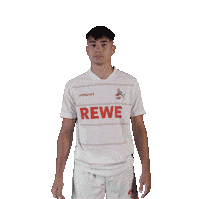 1 Fc Cologne Soccer Sticker by 1. FC Köln