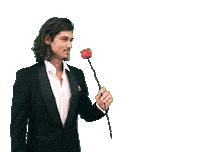Der Bachelor Sticker by 3+