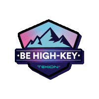 New Year Skiing Sticker by Tekion Force India