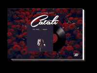 Record Player Vinyl GIF by Catāli