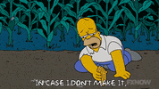 Season 18 Episode 20 GIF by The Simpsons