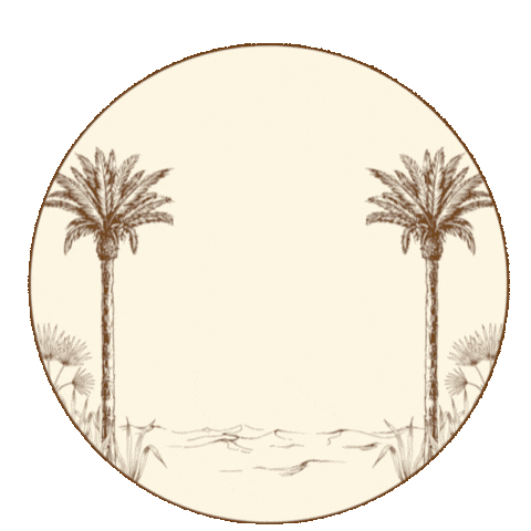 Abu Dhabi Oasis Sticker by Saddle Cafe