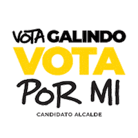 enriquegalindoceballos quedate sanluispotosi enriquegalindo fuerzaycorazonsanluis Sticker