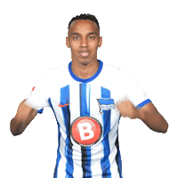 Football Win Sticker by Hertha BSC