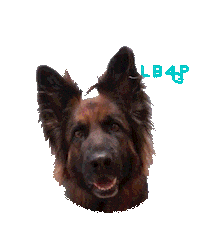 New In Stock Dog Sticker by Life Before Plastik