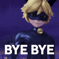 _Skill_games_ bye bye miraculous chat noir skillgames GIF