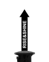VoleLight rise and shine riseshine vole light volelight Sticker