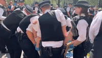 Police Move to Remove Extinction Rebellion Protesters From Parliament Square in London