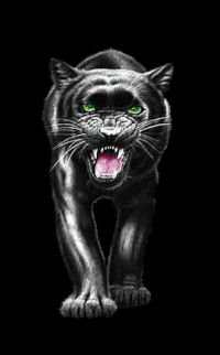 pantera GIF
