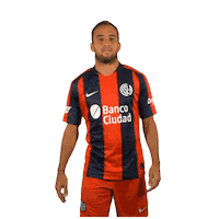 San Lorenzo Fernando Sticker by San Lorenzo de Almagro